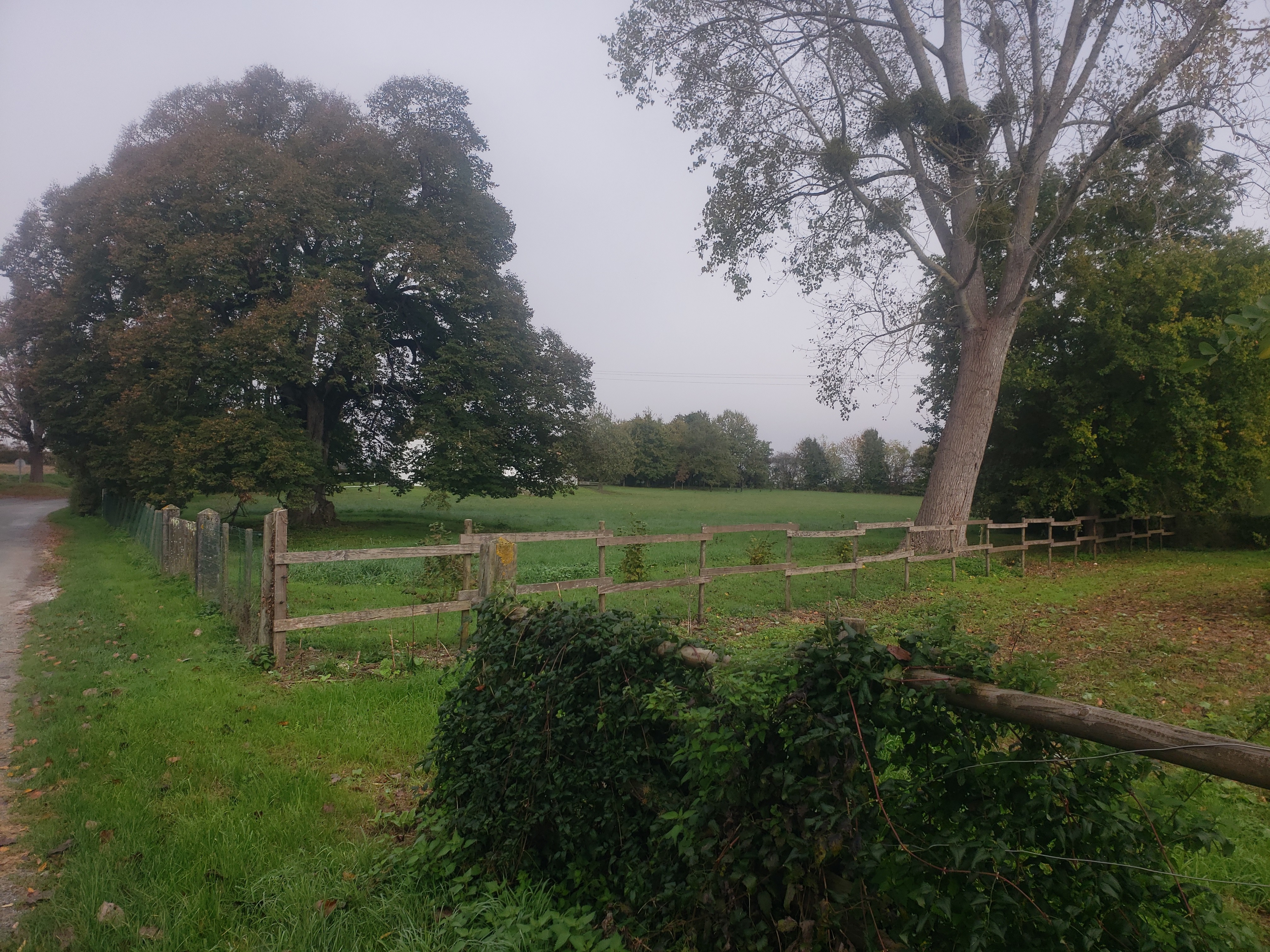 Photo n° 19 of the location