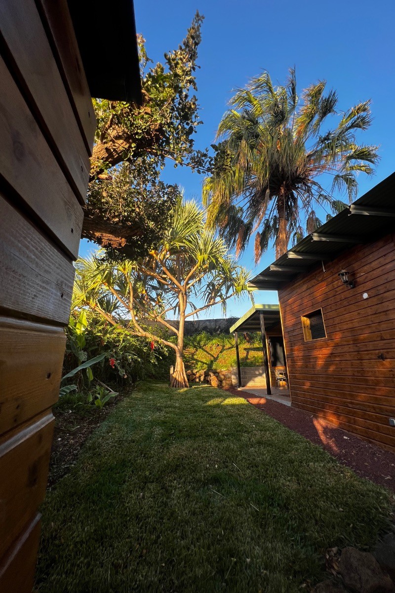 jardin ombragé