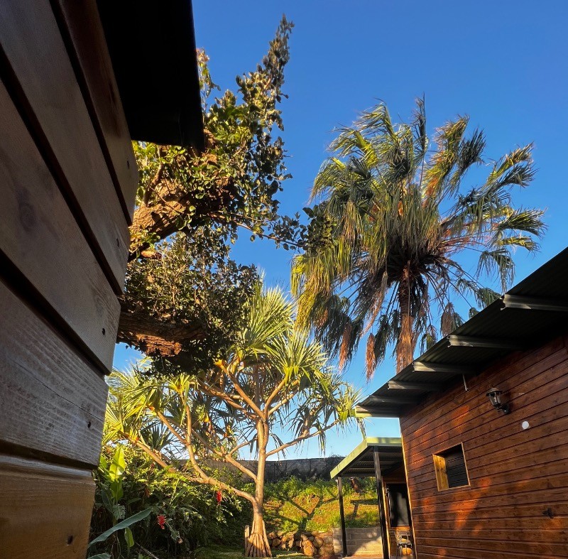 jardin ombragé