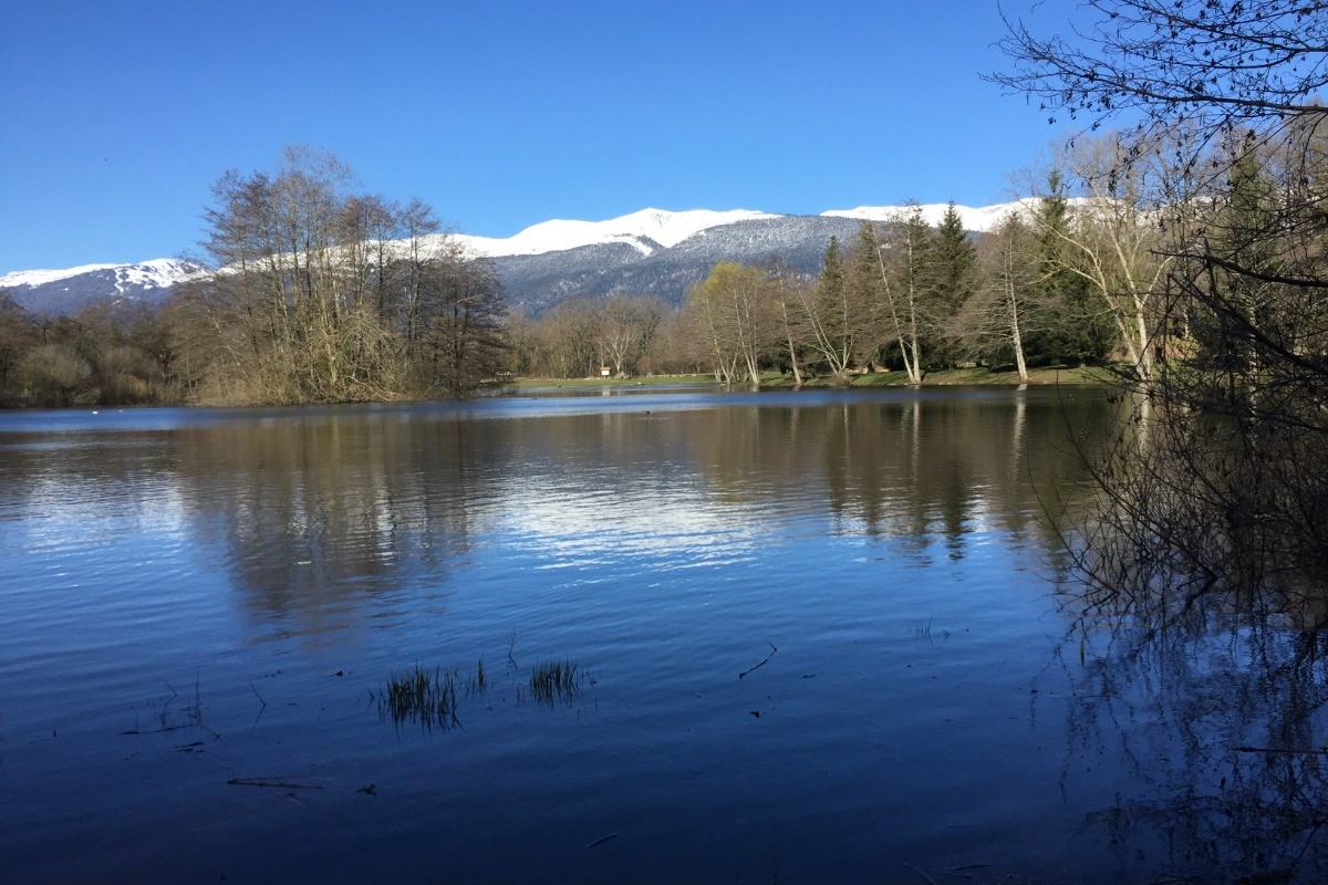 ETANG EN HIVER