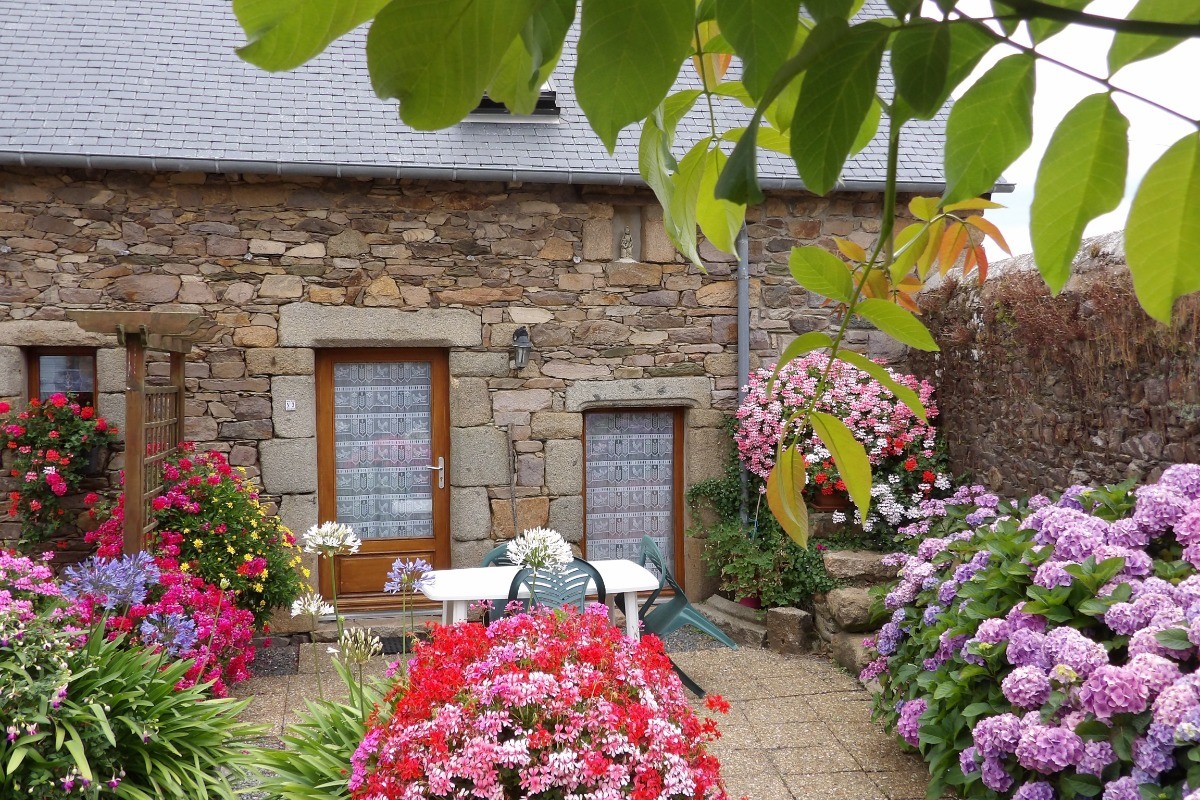 Image n° 1 de la location