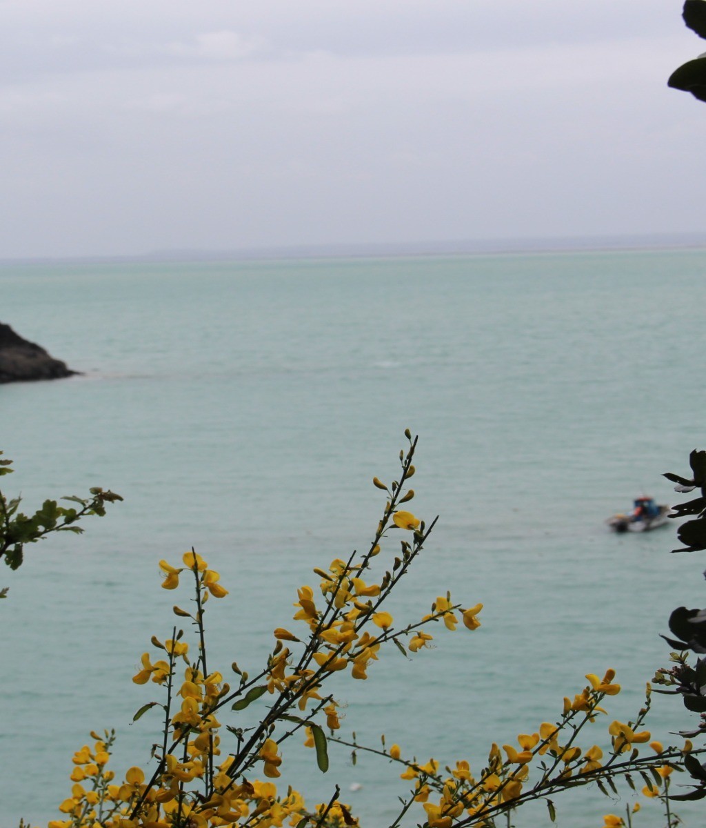 Photo n° 12 de la location