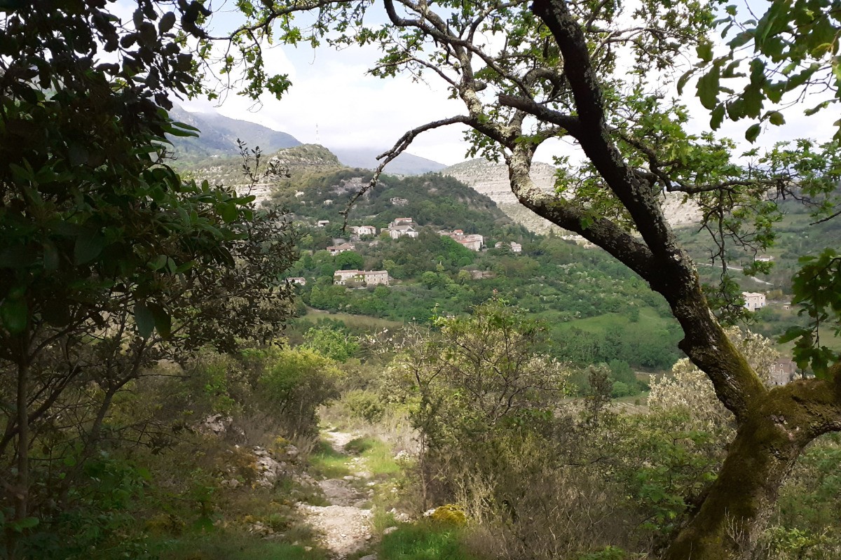 Photo n° 18 de la location