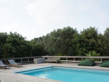 La piscine et ses bains de soleil