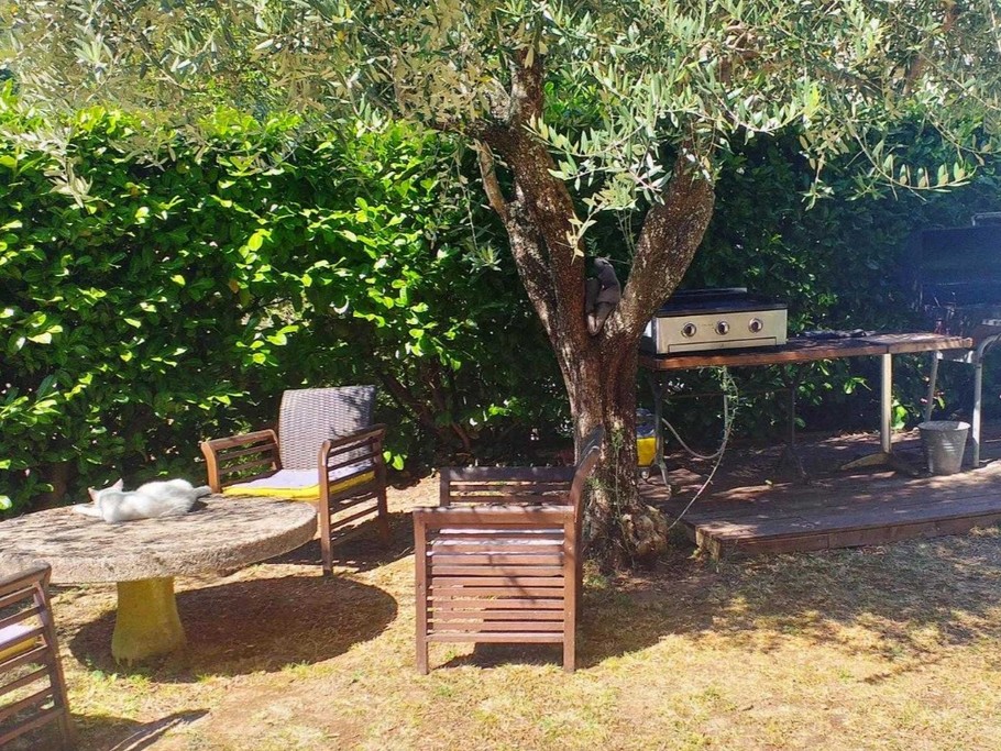 Coin barbecue + plancha gaz