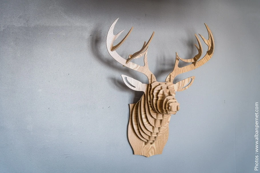 Gite Le Fleur de Neige en Savoie - Station de ski familiale - détail déco