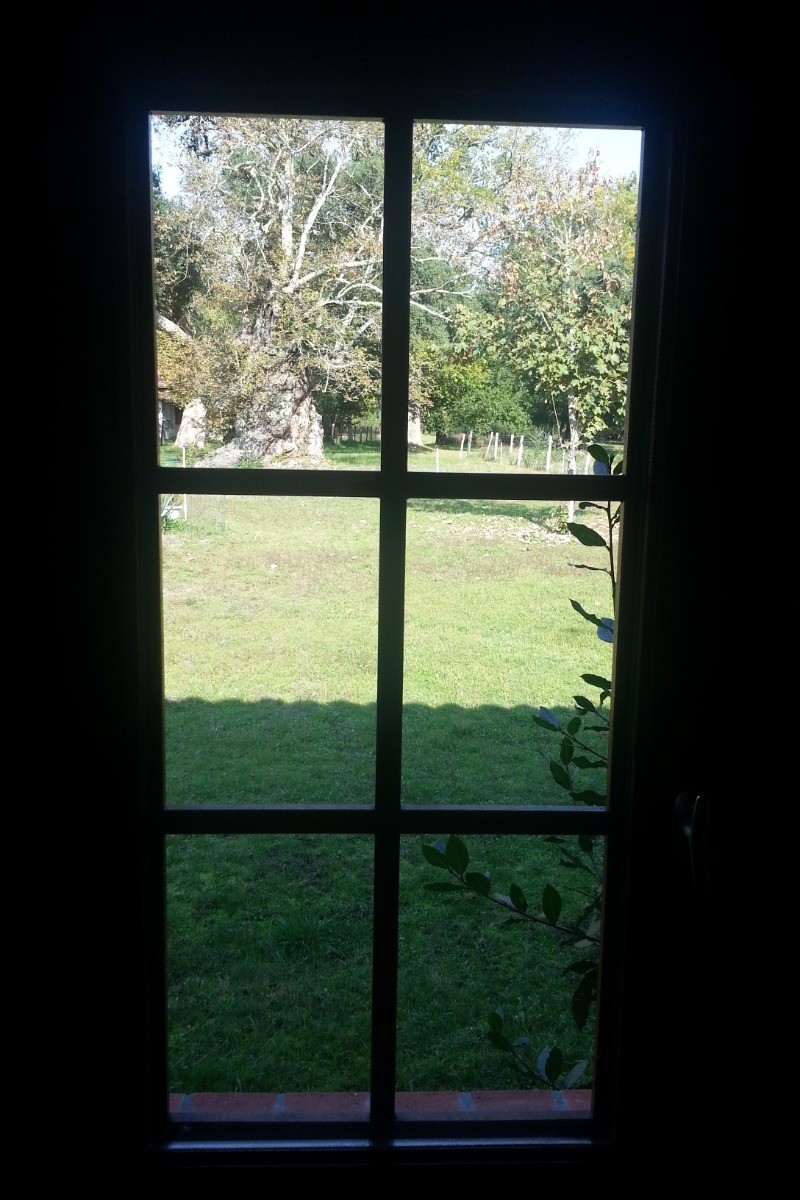 Vue depuis la chambre des enfants