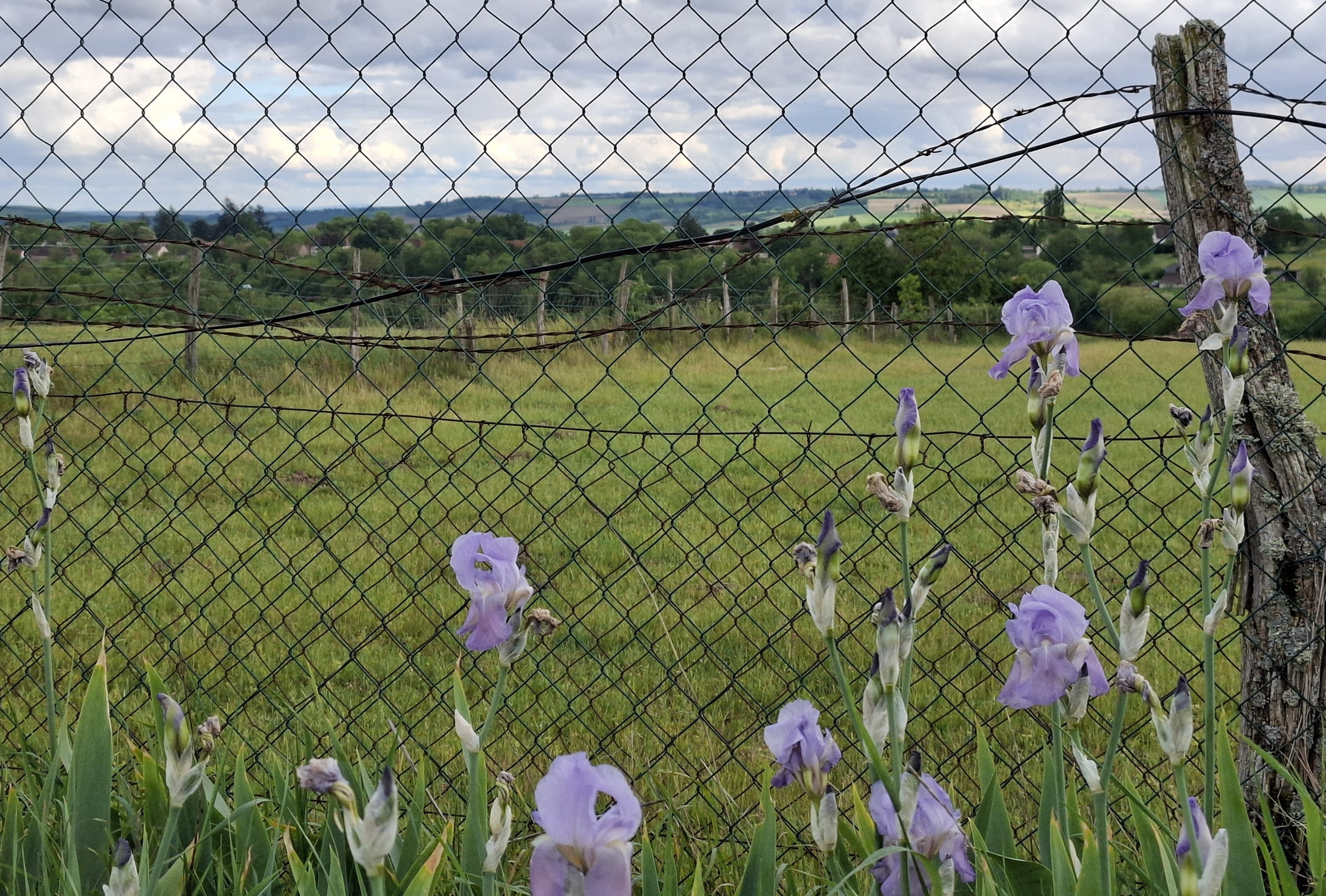 Photo n° 3 de la location