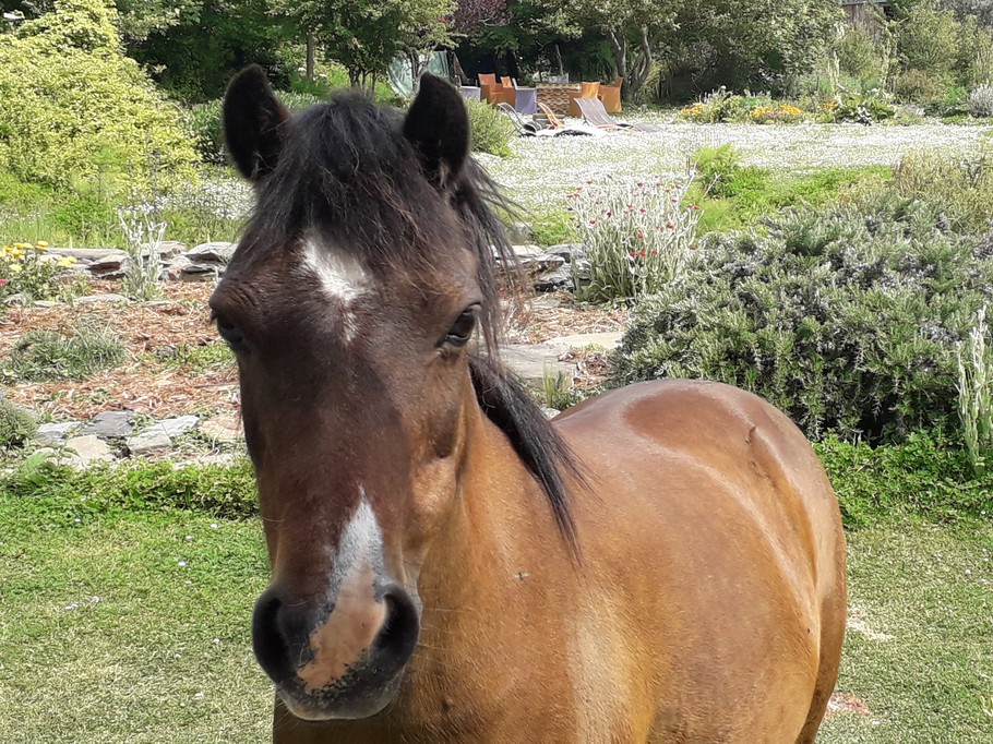 Harpaille nous dit bonjour