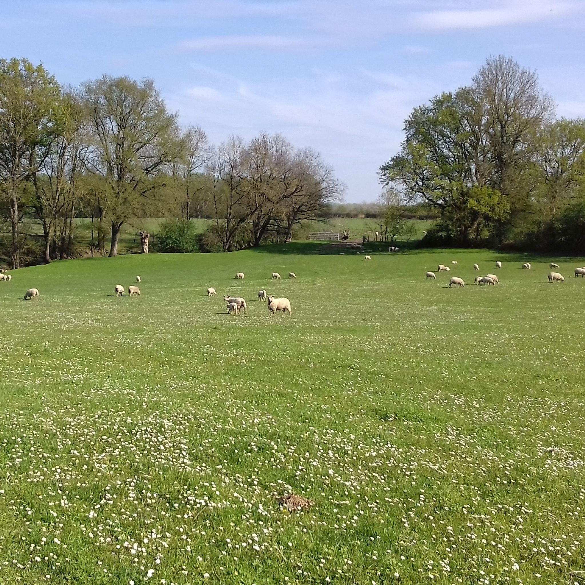 Photo n° 20 de la location