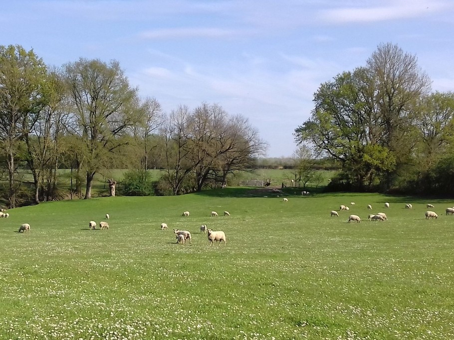 Photo n° 20 de la location