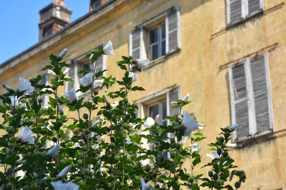 Façade Ouest