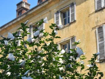 Façade Ouest