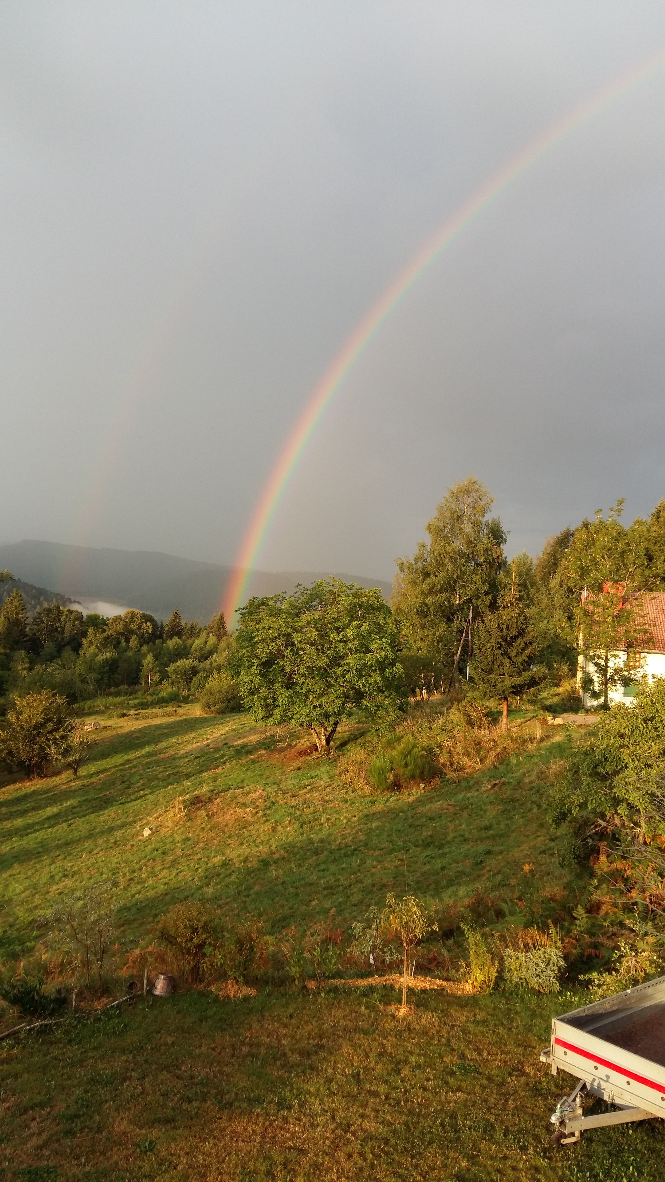 The farm in spring