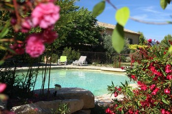 Végétation autour de la piscine