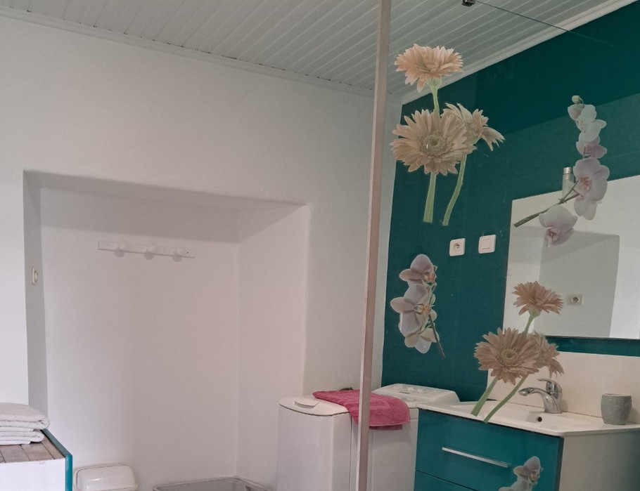 Salle d'eau rez de chaussée