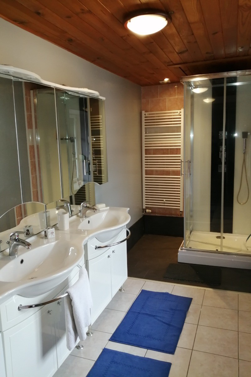Salle d'eau équipée d'une douche multi-jets - Gîte Vosgien Chez Capucine et Mirabelle à BELLEFONTAINE 88