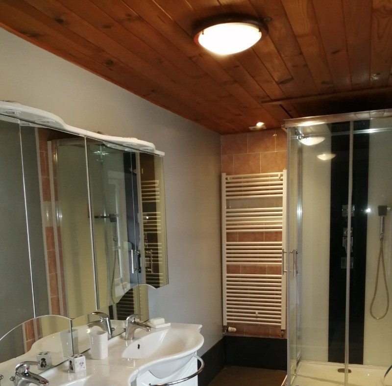 Salle d'eau équipée d'une douche multi-jets - Gîte Vosgien Chez Capucine et Mirabelle à BELLEFONTAINE 88