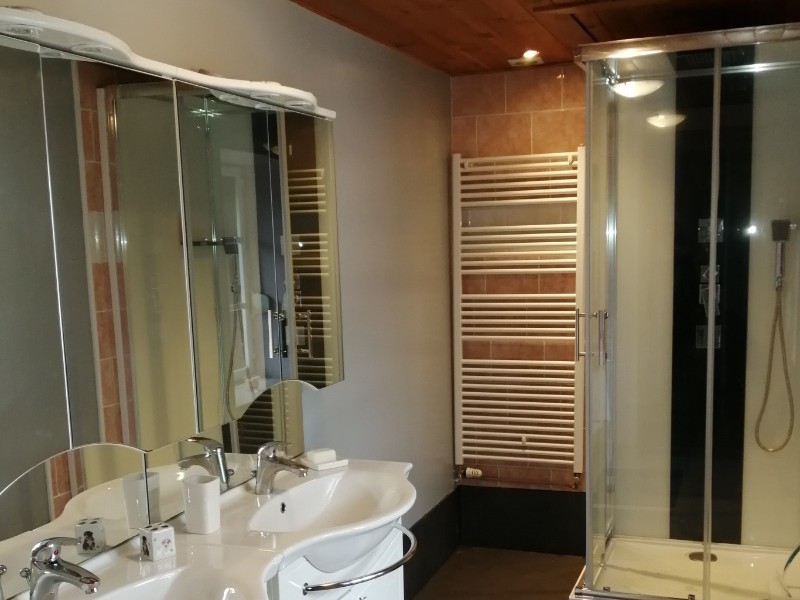 Salle d'eau équipée d'une douche multi-jets - Gîte Vosgien Chez Capucine et Mirabelle à BELLEFONTAINE 88