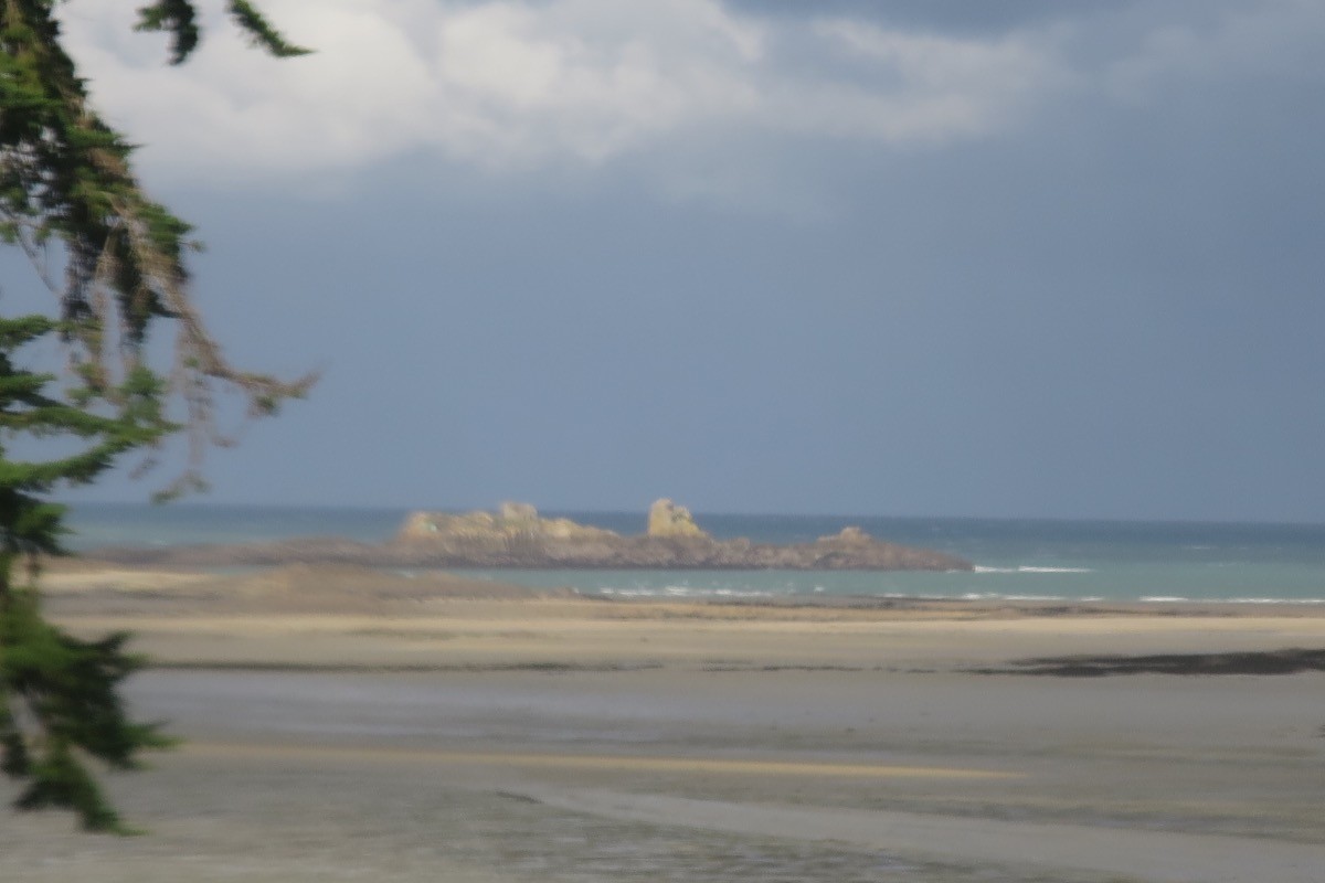 l'ile de "la colombiére" (réserve d'oiseaux) à marée basse visible de la mezzanine