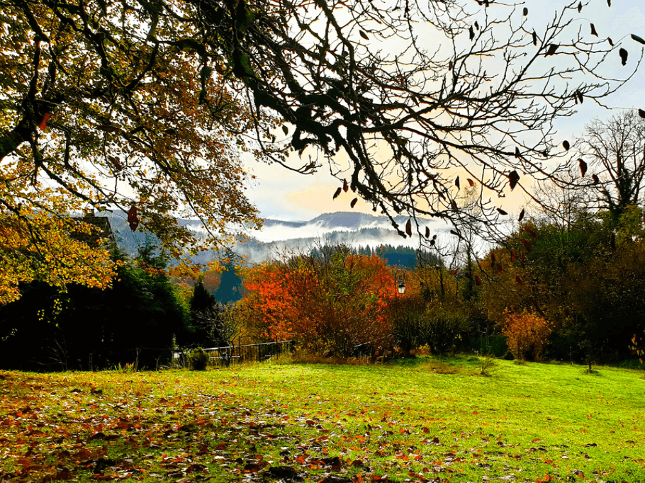 Vue du jardin Gîte LE BEAUMONT DU LAC Longère 150m² Clévacances Beaumont du Lac 87120
