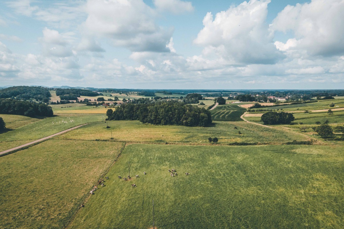 Photo n° 16 de la location