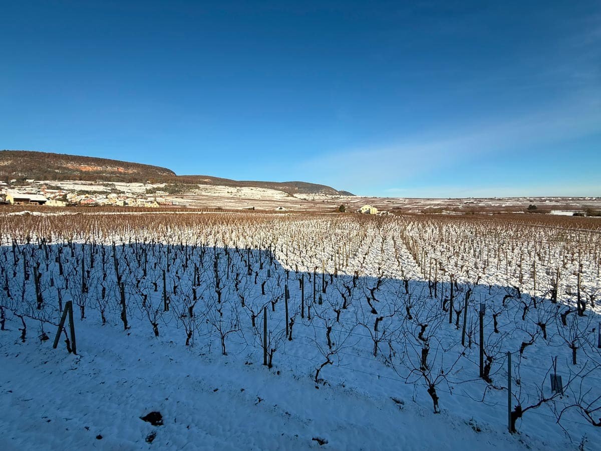 Photo n° 17 of the location