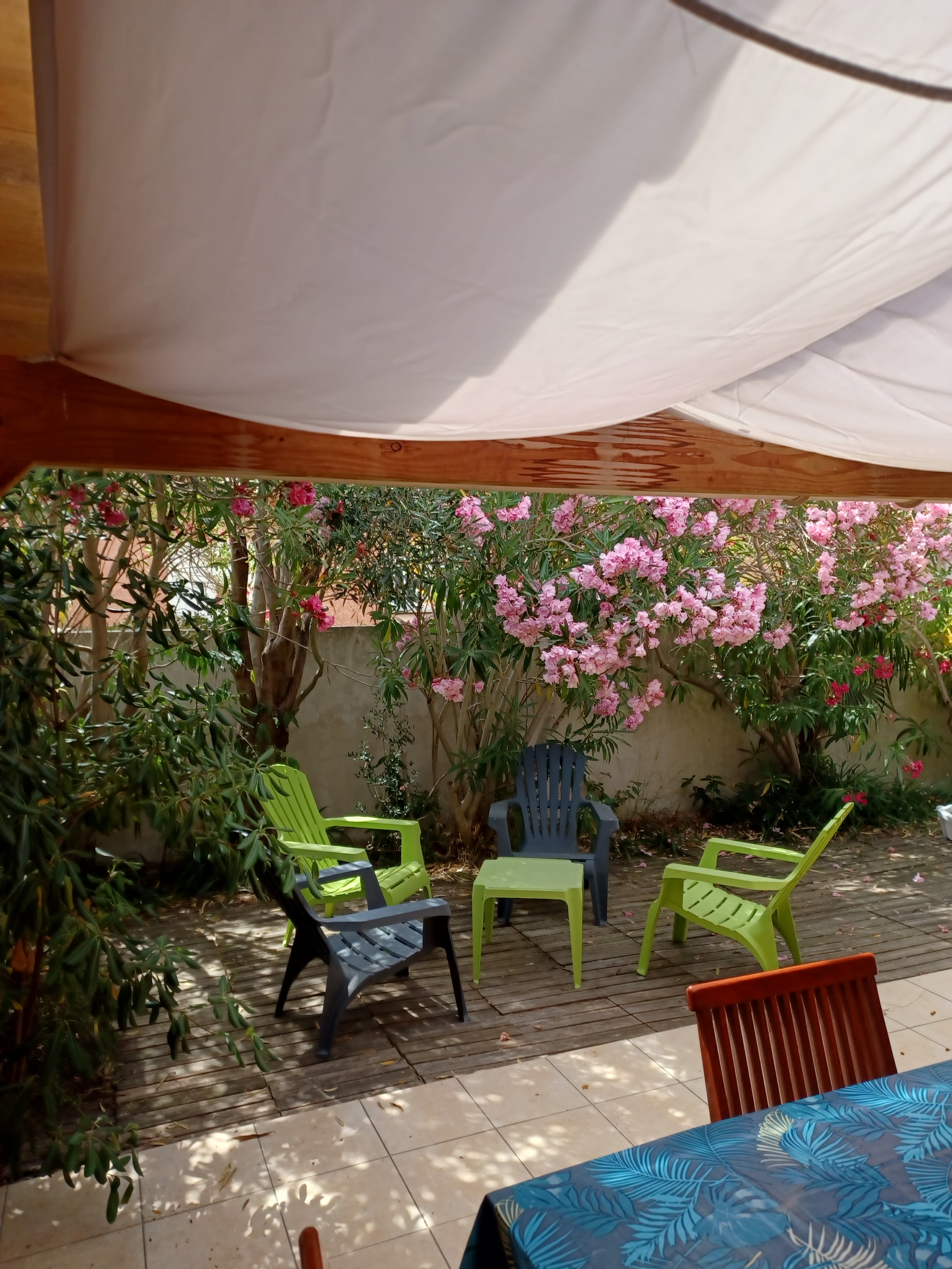 Terrasse et jardin