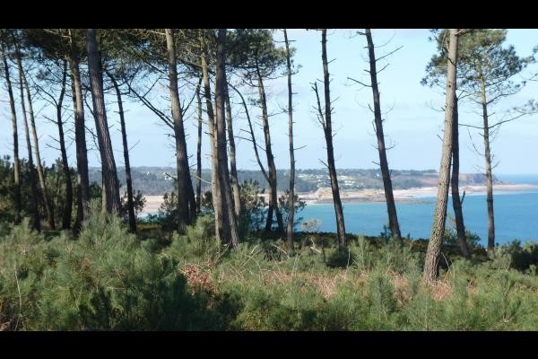 Fréhel Sables d'Or les Pins
