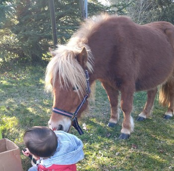 Photo n° 12 de la location