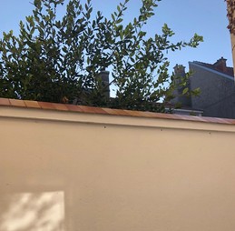 Cour privative fermée