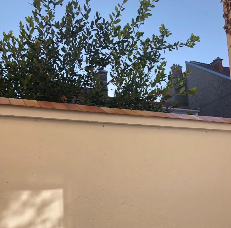 Cour privative fermée