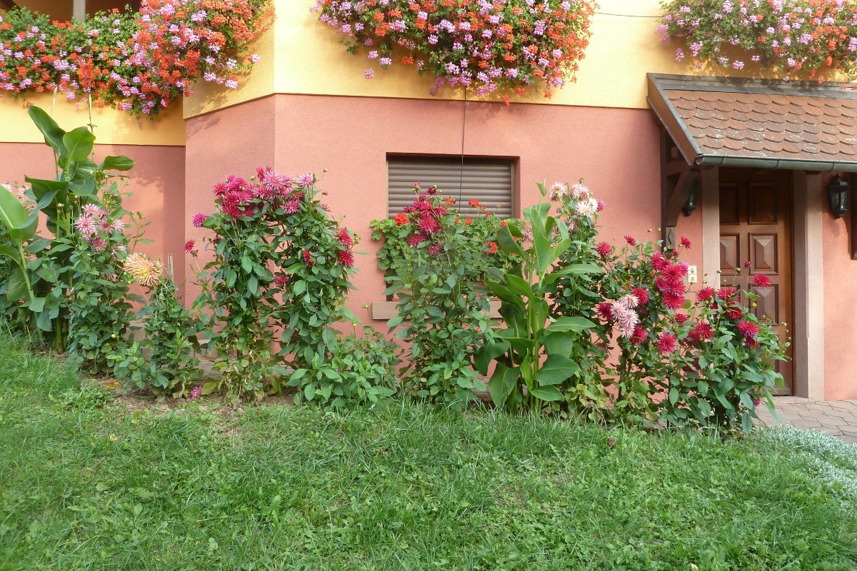 Vue extérieure de la maison