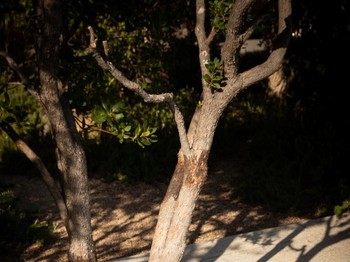 Photo n° 26 of the location