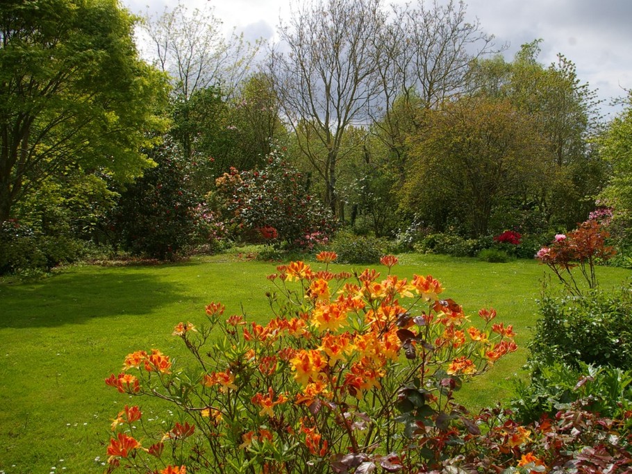 Le jardin en mai- Maison de caractère à la campagne dans un superbe cadre , près de la mer. 5 pers.