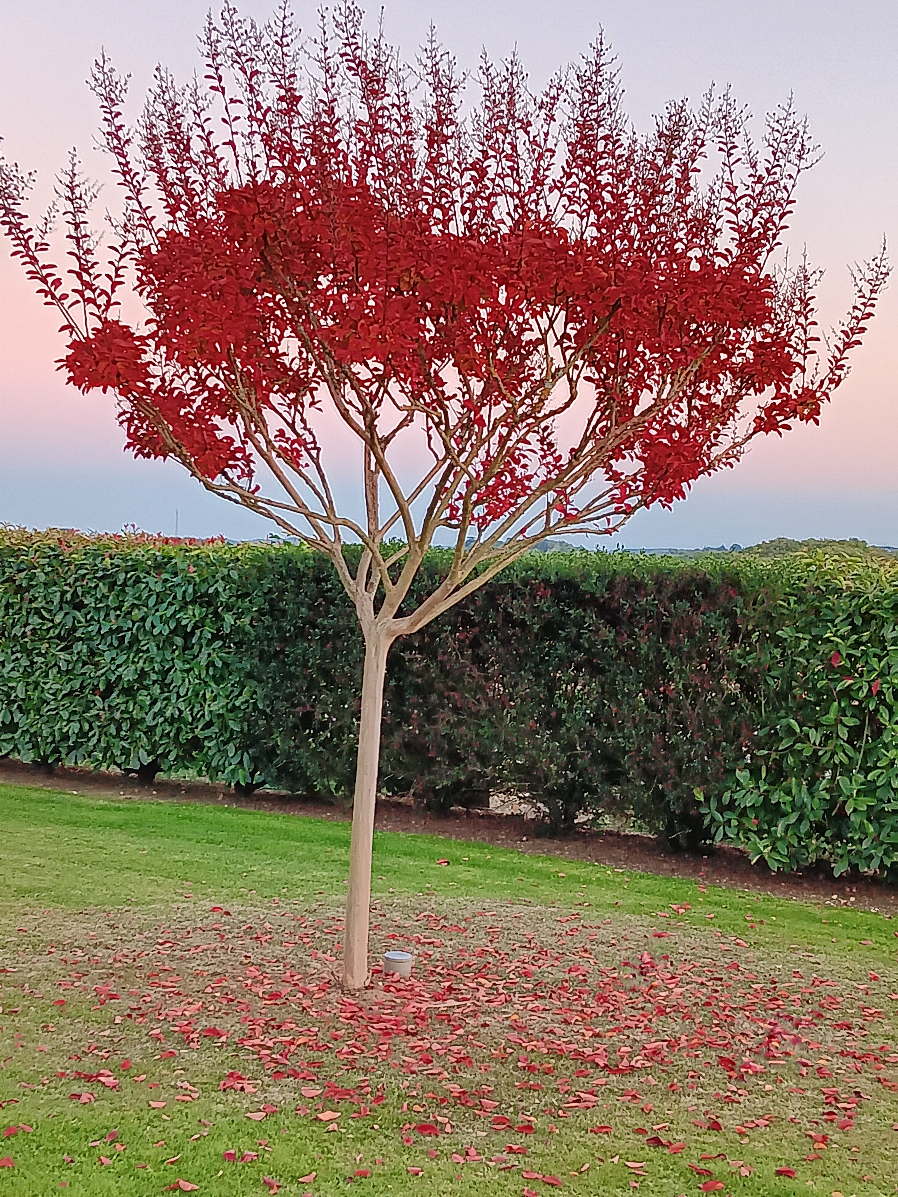 Photo n° 3 of the location