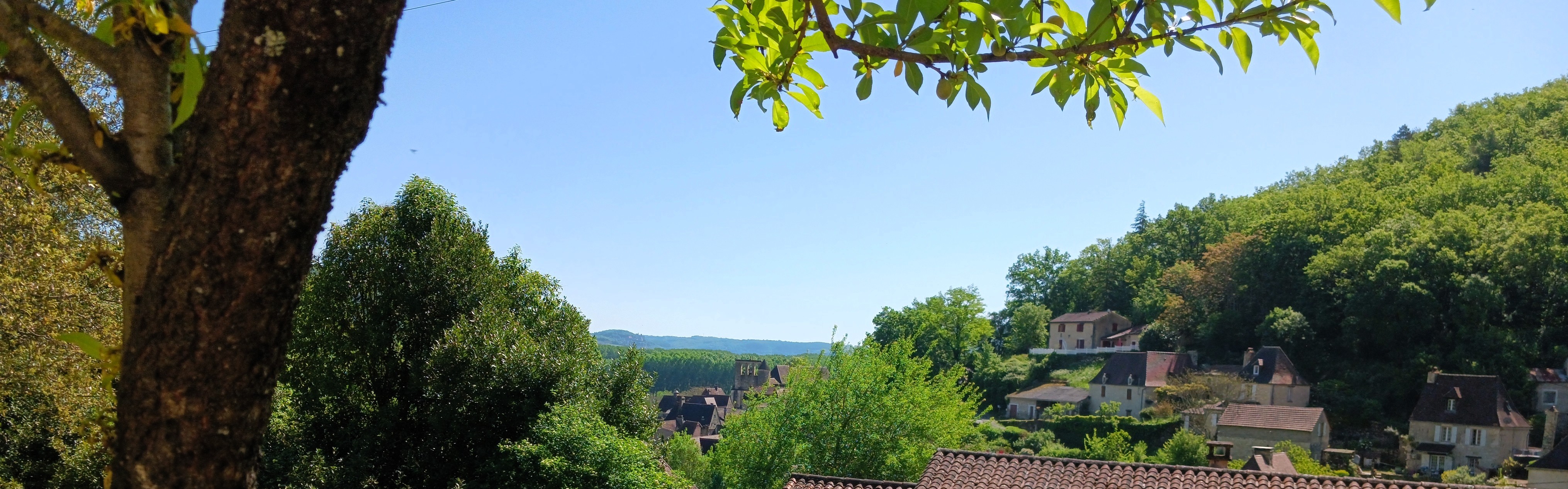 Vue