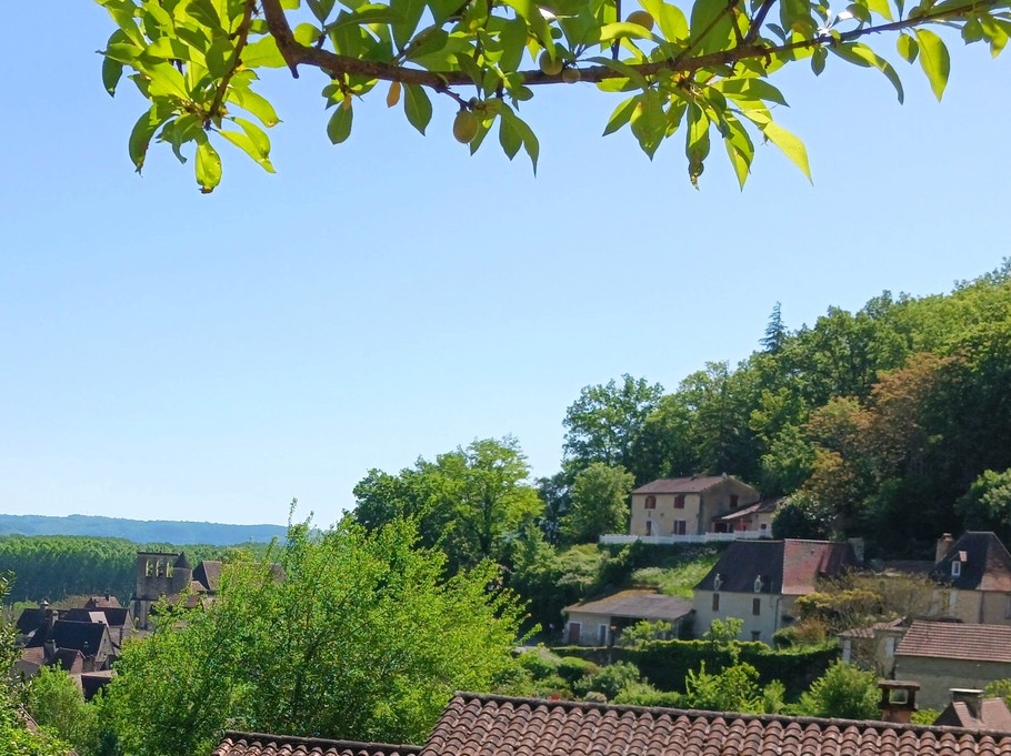 Vue