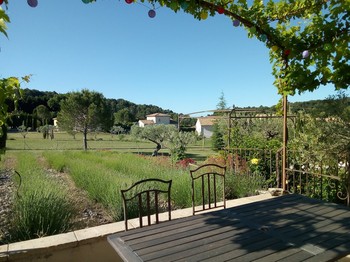 breakfast table