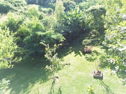 Image n° 4 de la location