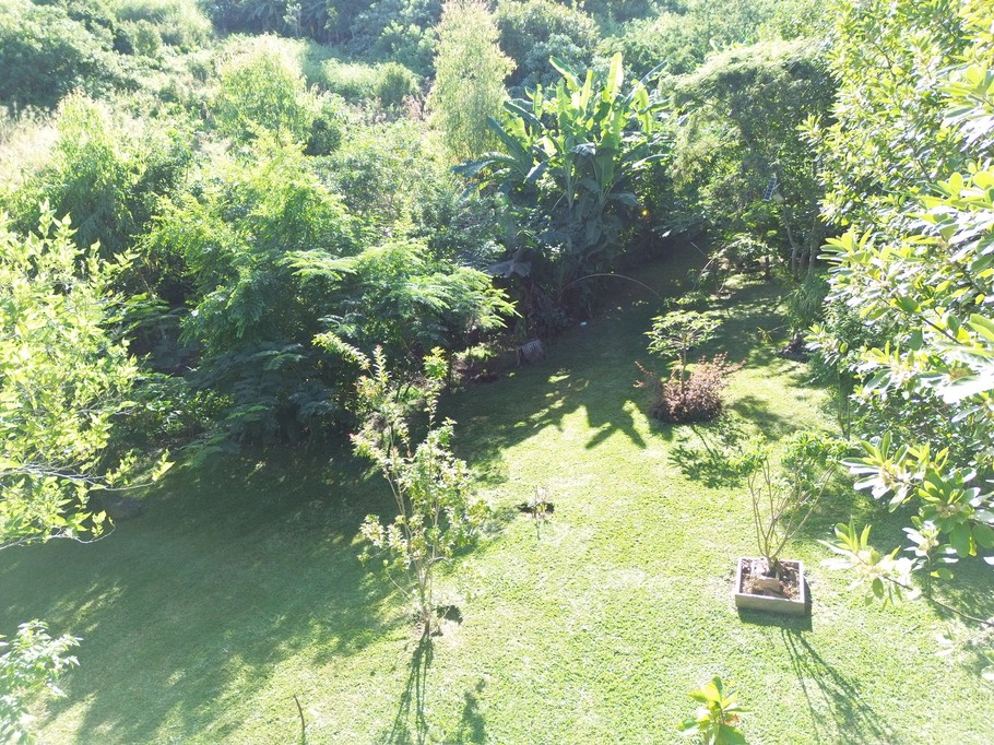 Photo n° 4 of the location