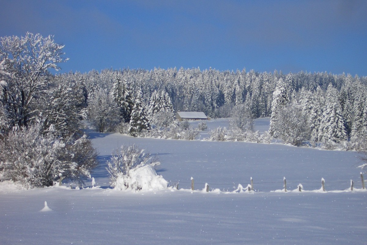 Photo n° 12 de la location