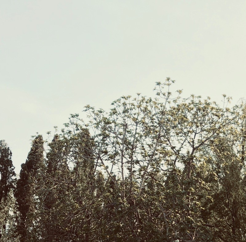 Photo n° 19 de la location