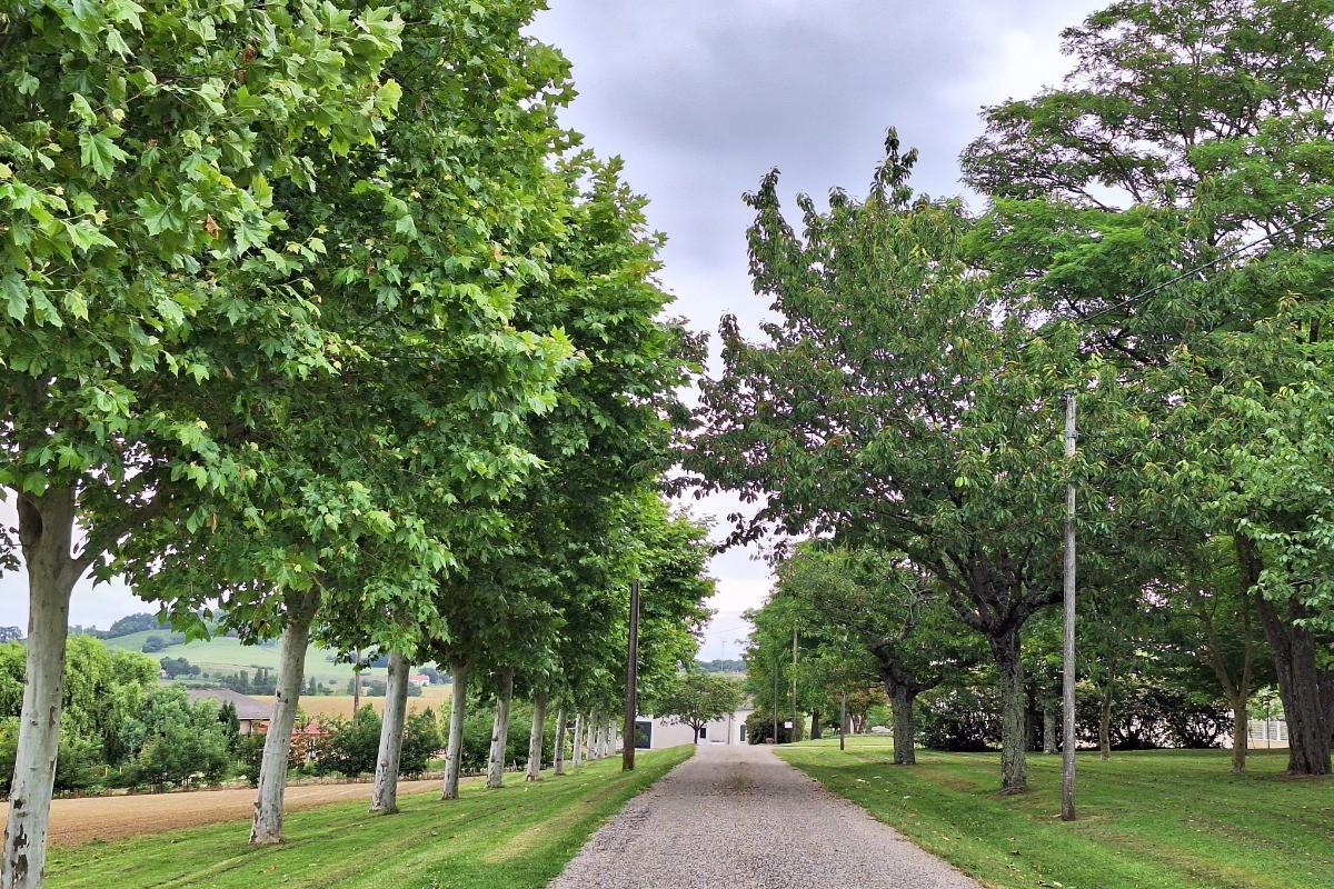 Photo n° 10 of the location