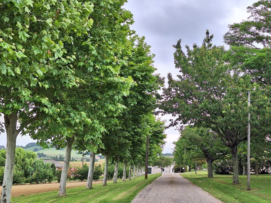 Photo n° 10 de la location