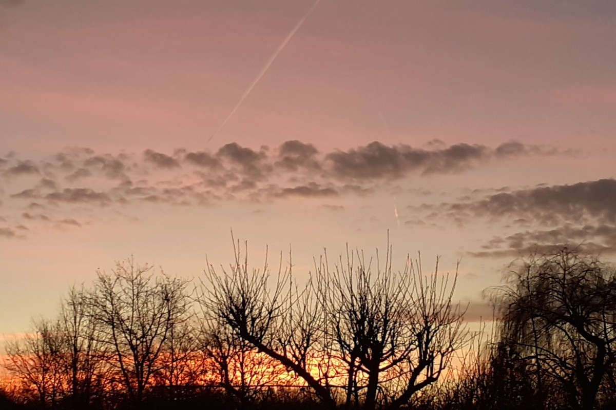 Environnement champêtre