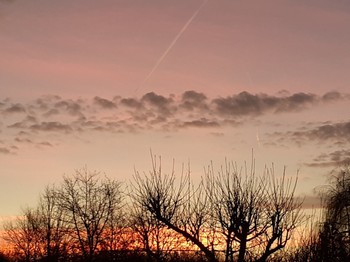 Environnement champêtre