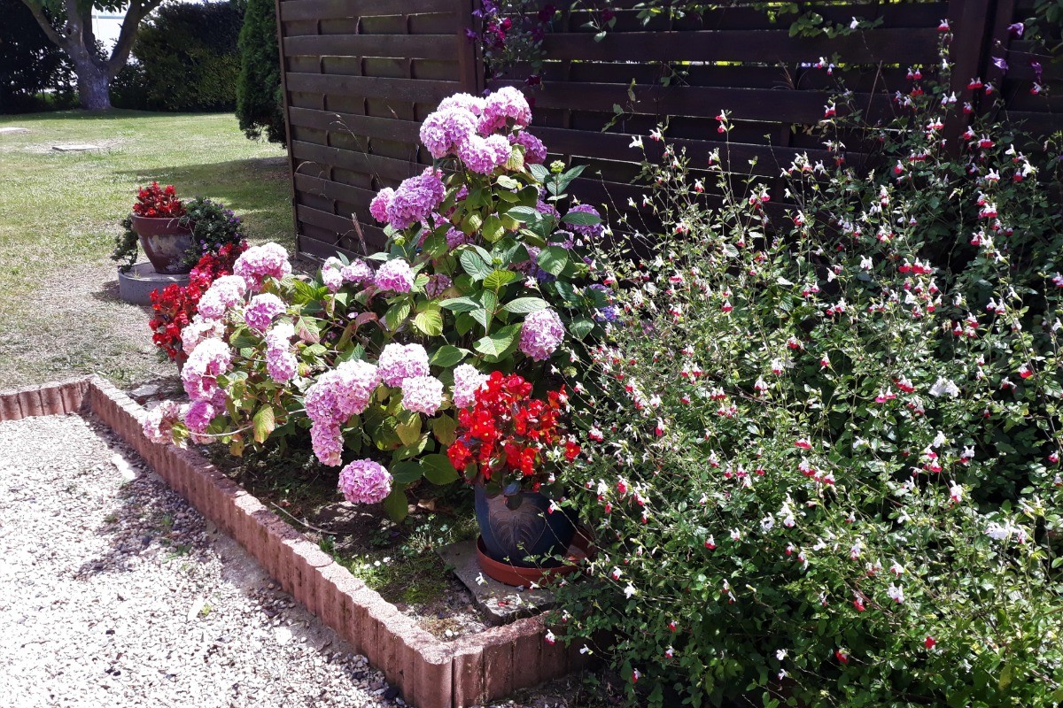 Jardin fleuri.
