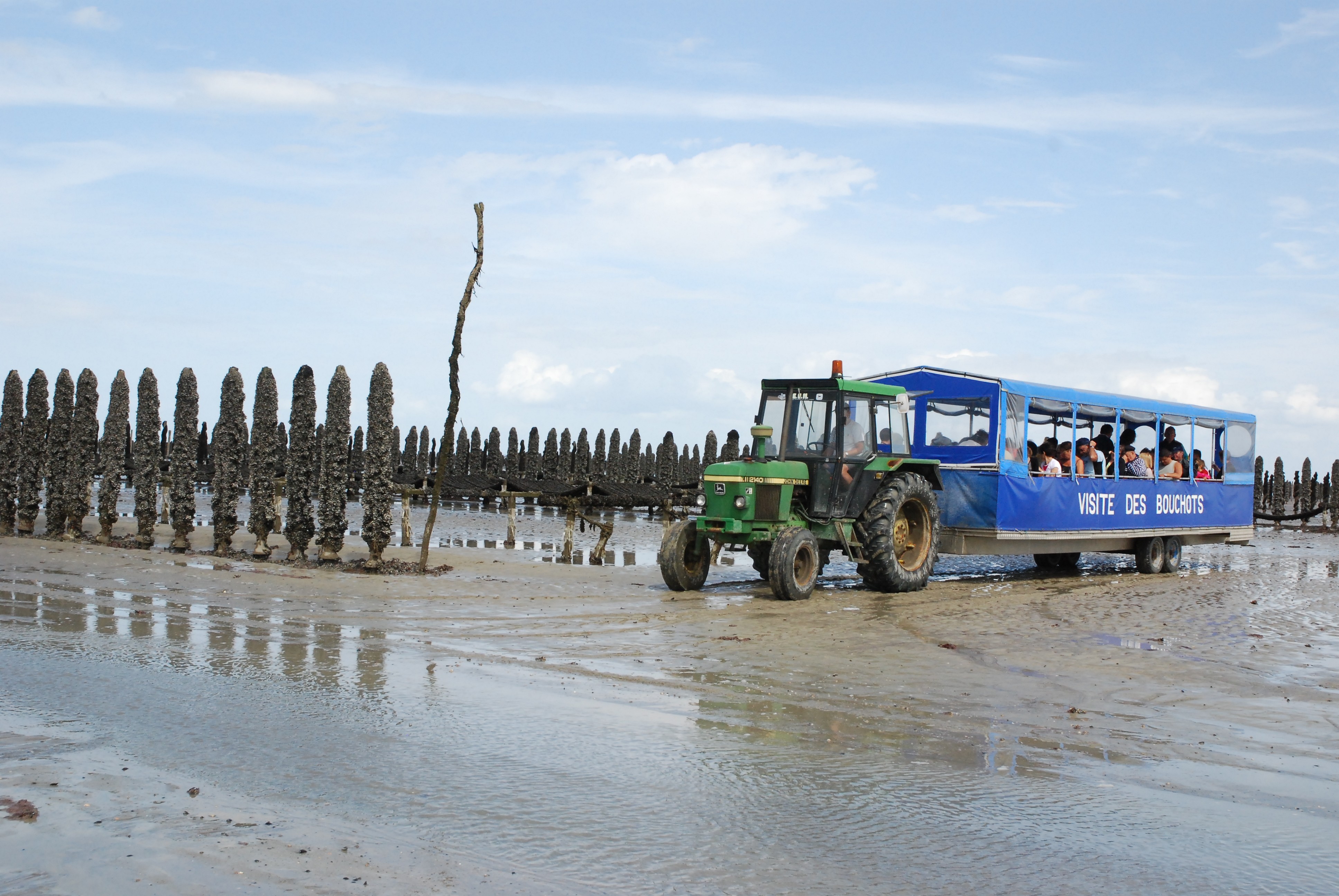 Petit train marin à la découverte des moules de bouchot dans la Baie du Mont Saint-Michel