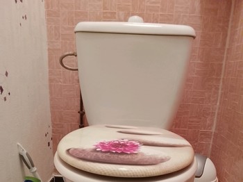toilets